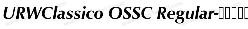 URWClassico OSSC Regular字体转换